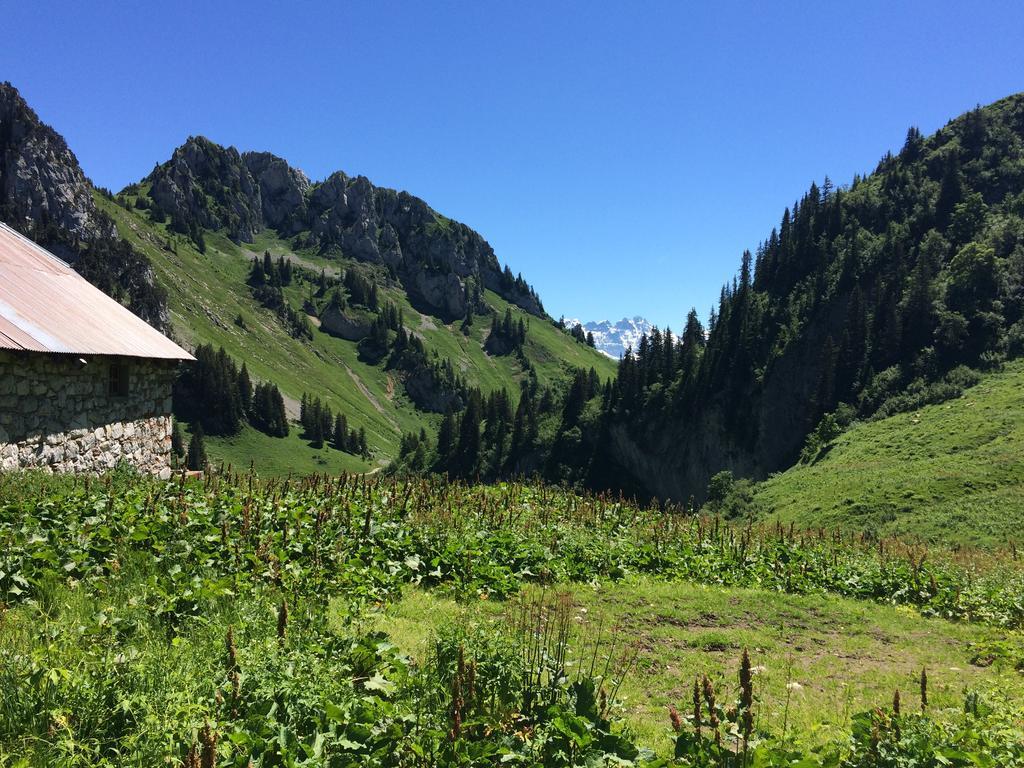 Les Balcons Du Leman Bed and Breakfast Thollon-les-Memises Exterior foto
