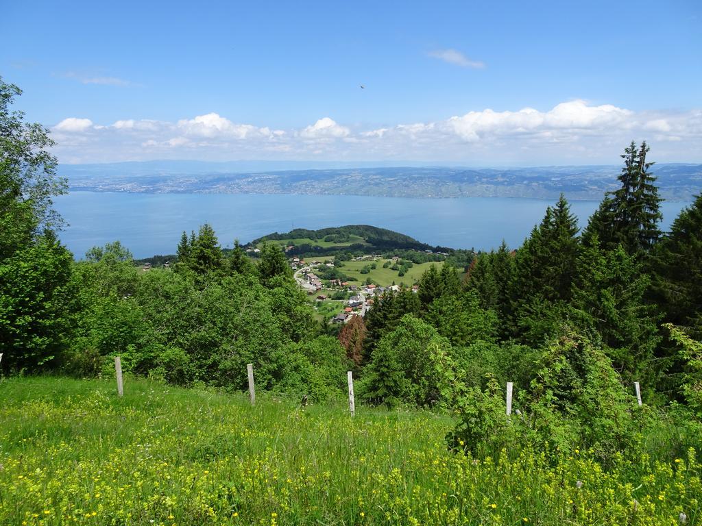 Les Balcons Du Leman Bed and Breakfast Thollon-les-Memises Exterior foto
